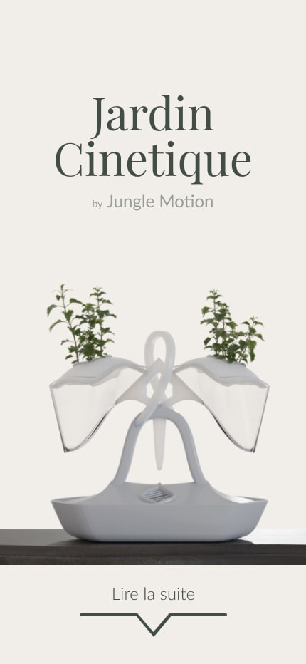 Image du site Jardin Cinétique